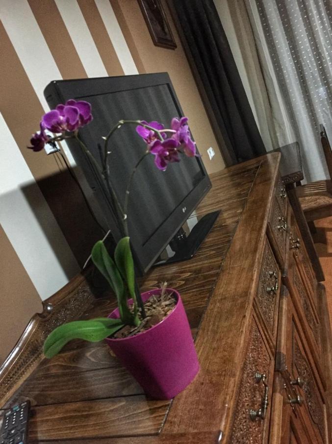 Hotel Oaza コニツ エクステリア 写真